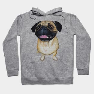 Pug Dog Hoodie